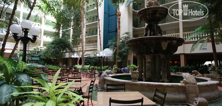 New photos from tourists Embassy Suites McAllen 3*