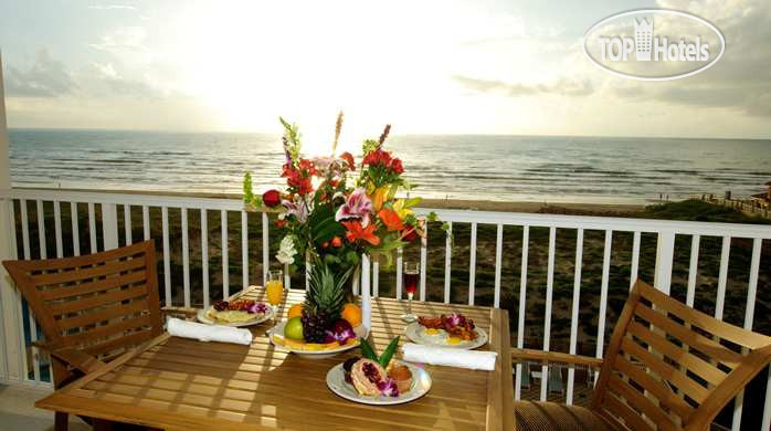 Новые добавленные фото туристов Hilton Garden Inn South Padre Island 3*