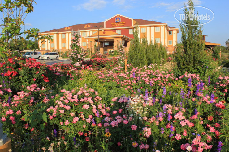 Hotel photo Best Western Plus Blanco Luxury Inn & Suites 3*