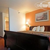 Best Western Plus Palms Hotel & Suites 