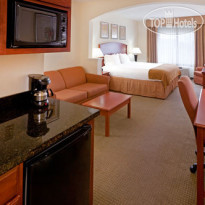 Holiday Inn Express Hotel & Suites Dallas - Grand Prairie I-20 