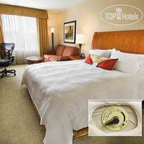 Hilton Garden Inn Houston Galleria 