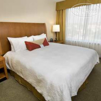 Hilton Garden Inn Houston Galleria 