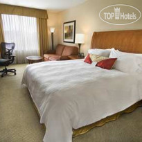 Hilton Garden Inn Houston Galleria 