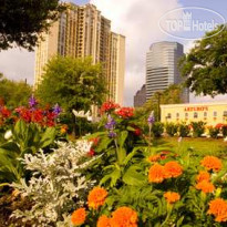 Hilton Garden Inn Houston Galleria 