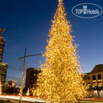 Hilton Garden Inn Houston Galleria 