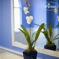 Indigo Houston at the Galleria 