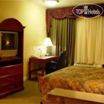 Holiday Inn Express Houston Medical Center/Reliant 