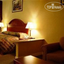 Holiday Inn Express Houston Medical Center/Reliant 