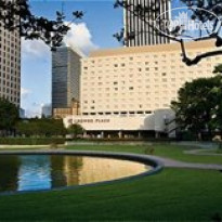 The Whitehall Houston