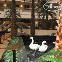 Embassy Suites Hotel Houston-Near The Galleria