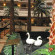 Embassy Suites Hotel Houston-Near The Galleria 