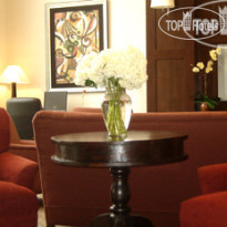 Best Western Plus Downtown Inn & Suites Houston