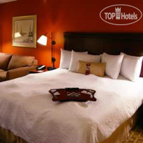 Hampton Inn Houston-Near The Galleria