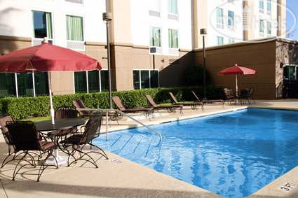 Hotelier's photos Hampton Inn Houston-Near The Galleria 3*
