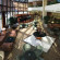 Doubletree Hotel Houston Downtown 