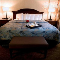 Holiday Inn Hotel & Suites Houston Medical Center 