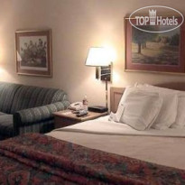 Hampton Inn Dallas-Addison 