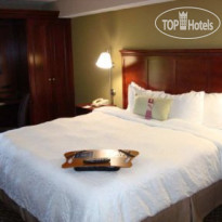 Hampton Inn Dallas-Addison 