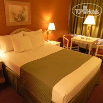 Super 8 El Paso Airport  