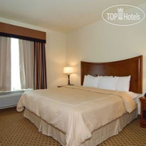 Comfort Suites Stone Oak 