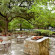 San Antonio Marriott Riverwalk 