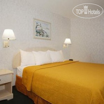 Econo Lodge Downtown South 