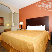 Comfort Suites Westchase 