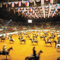 Marriott Dallas-Fort Worth Hotel & Golf Club at Champions Circle 