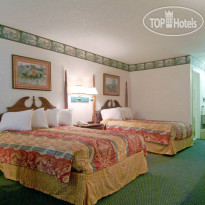 Best Western Plus Irving Inn & Suites at DFW Airport 