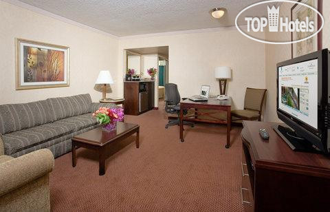 New photos from tourists Embassy Suites Dallas Love Field 3*