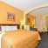 Comfort Inn & Suites DFW Airport South 