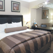 La Quinta Inn & Suites Pearland