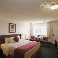 Best Western Paradise Inn & Resort 