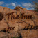 The Inn At Entrada 
