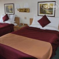 National 9 Wellington Номер