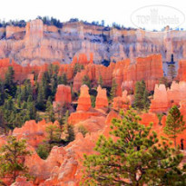 Best Western Plus Bryce Canyon Grand 
