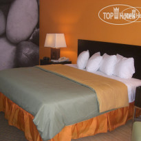 Indigo Basking Ridge 