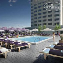 The Chelsea