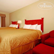 Comfort Inn and Suites Las Vegas 