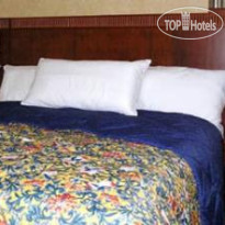 Courtyard Las Vegas South 