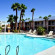 Best Western Nellis Motor Inn 