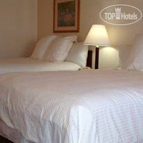 Best Western Nellis Motor Inn 