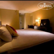 Blue Moon Gay Mens Resort