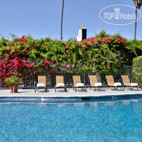 Best Western Plus Mikado 