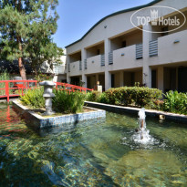 Best Western Plus Mikado 