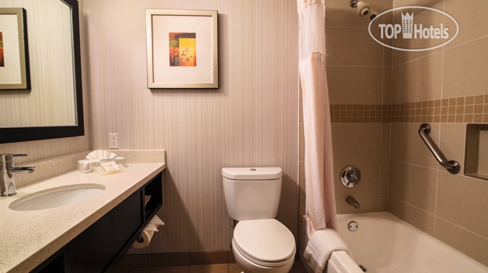 Новые добавленные фото туристов Hilton Garden Inn Valencia Six Flags 3*