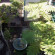 Best Western Plus Dana Point Inn-by-the-Sea 
