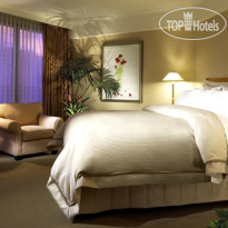 Sheraton Universal Studios