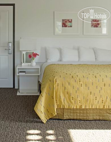 New photos from tourists Best Western PLUS Hollywood Hills 3*